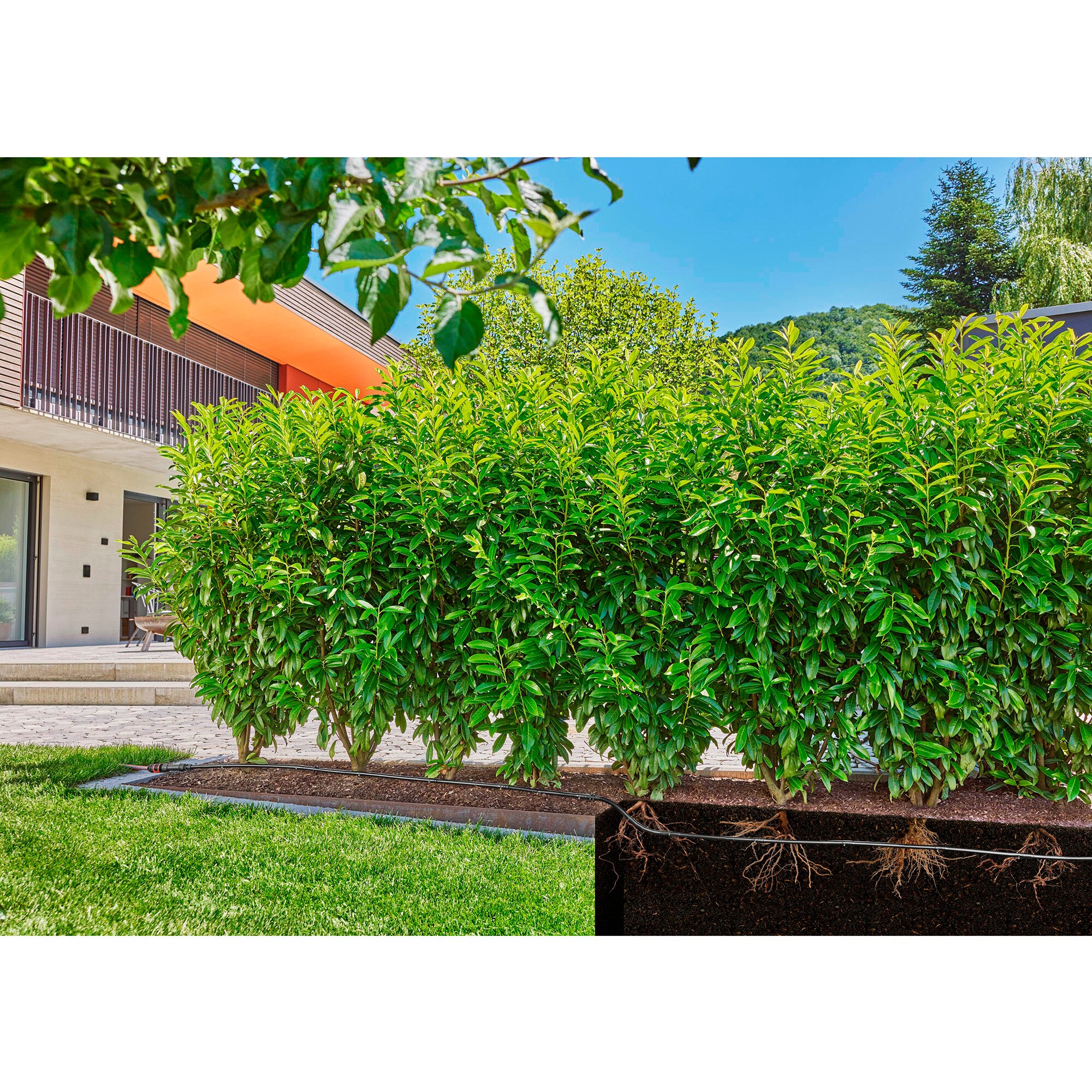 GARDENA Tropfer Micro-Drip-System Tropfrohr für Büsche/Hecken 1,6 l/h, 50 Meter