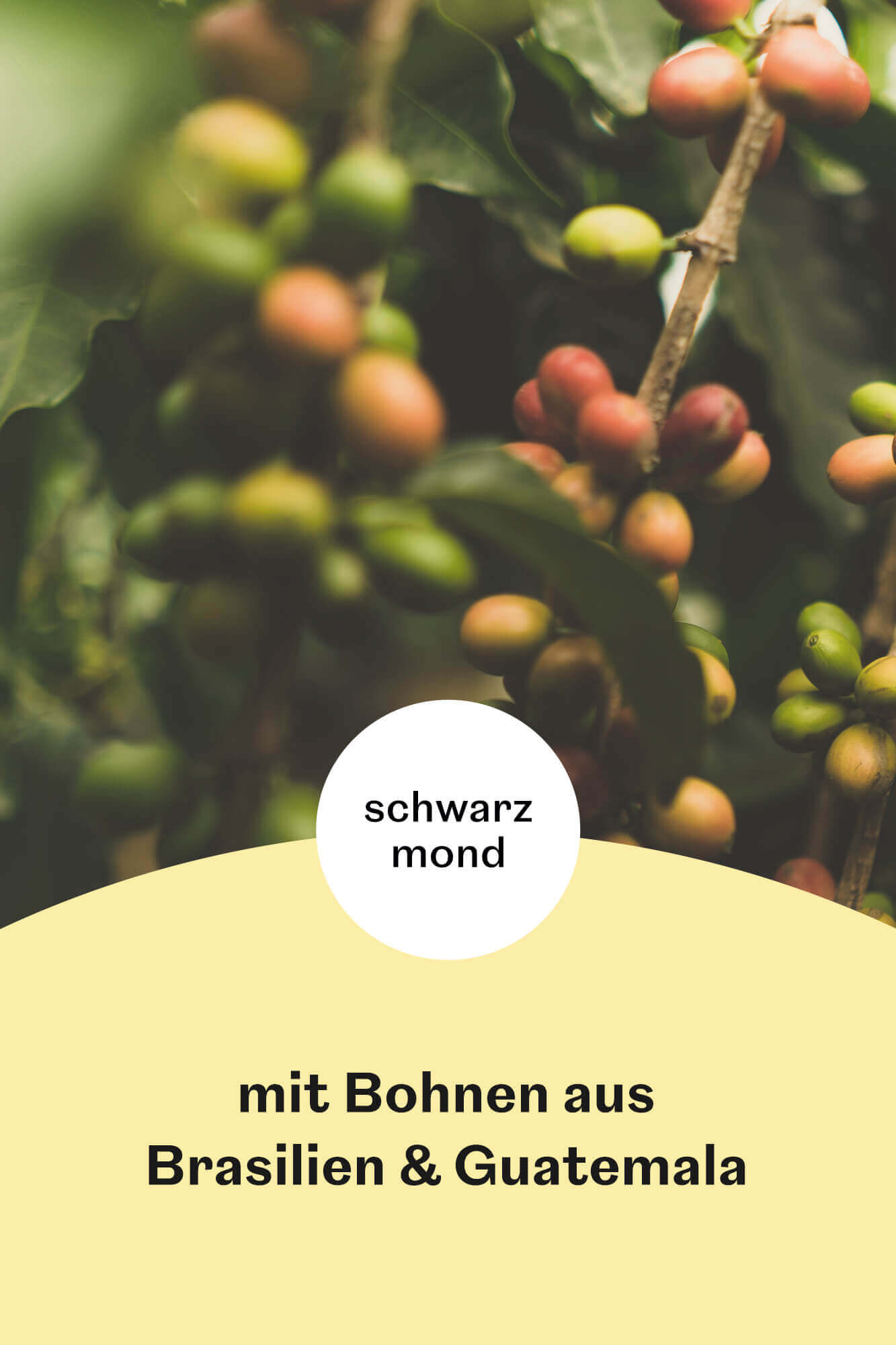 Schwarzmond Merkur Vorteilspaket 2kg