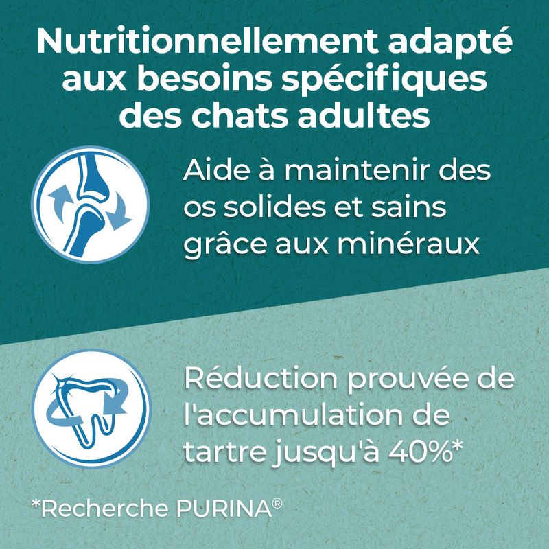 PURINA ONE Dual Nature Adulte poulet, spiruline