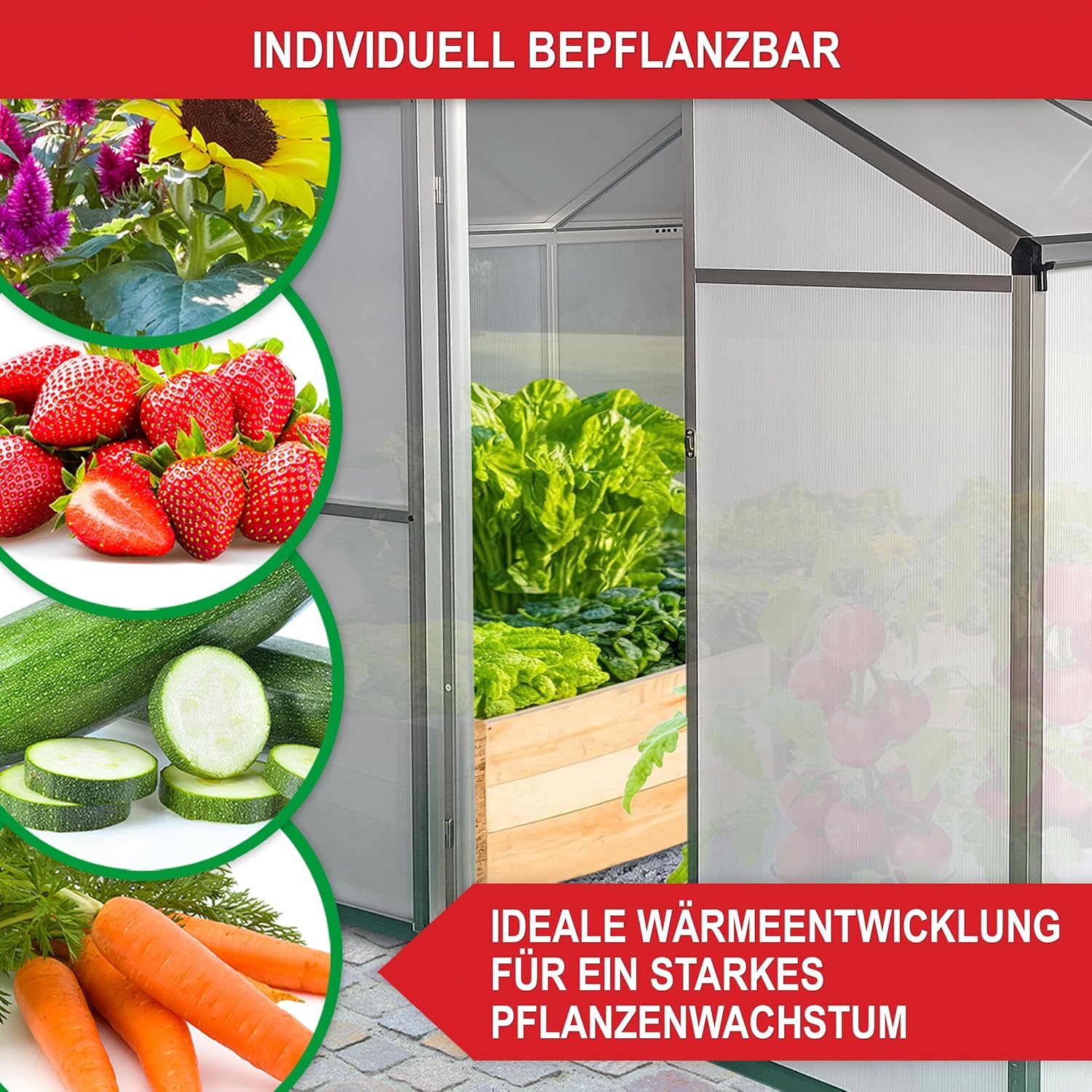 stabiles Aluminium Gewächshaus mit Dachfenster – Garten Frühbeet ideal für die Anzucht von Tomaten Blumen – vielseitig nutzbar als Treibhaus, Tomatengewächshaus Pflanzenhaus (L)
