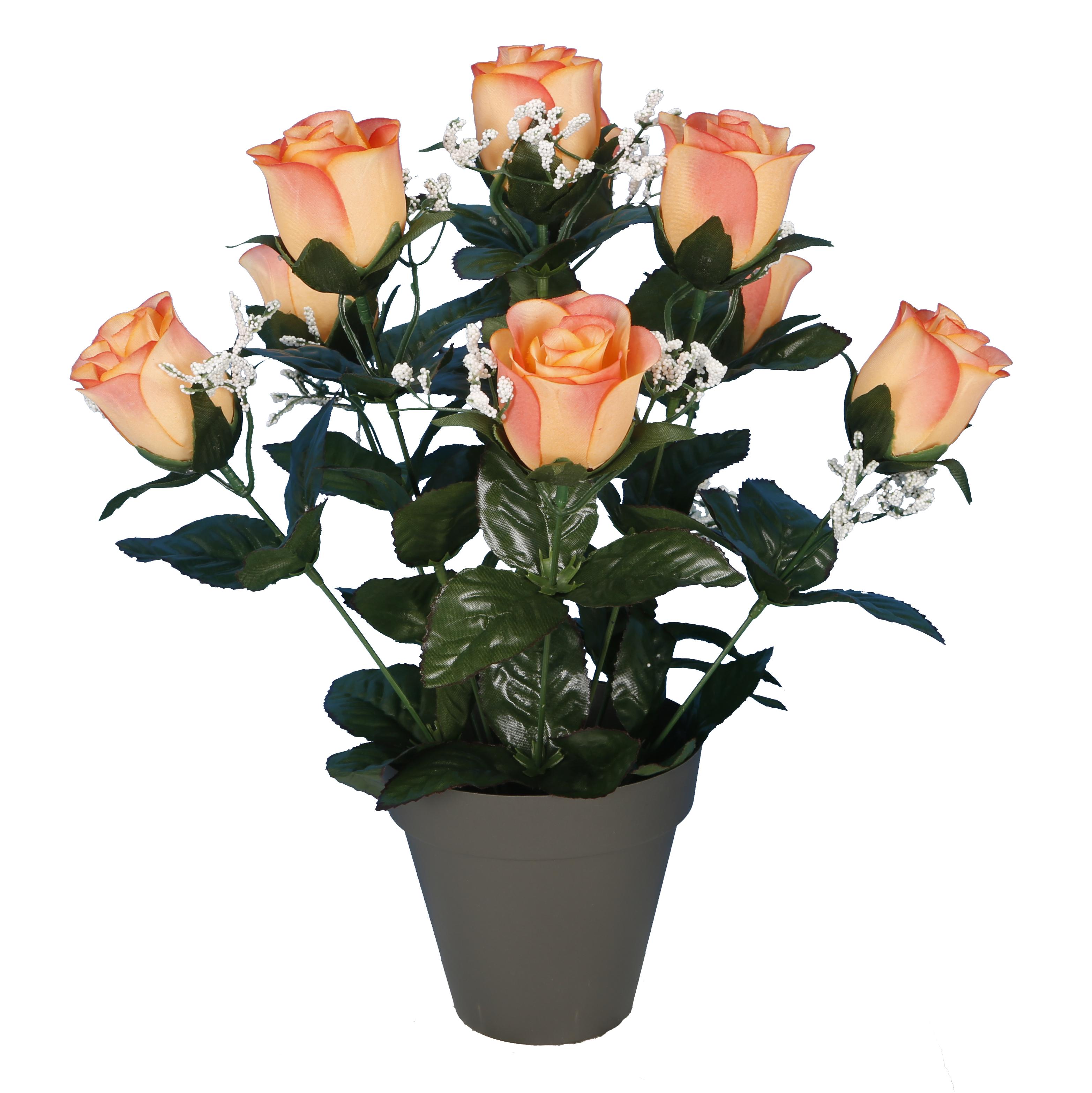 POT BOUTONS DE ROSES