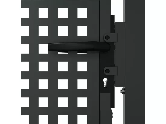 Portail de jardin anthracite 105x250 cm acier