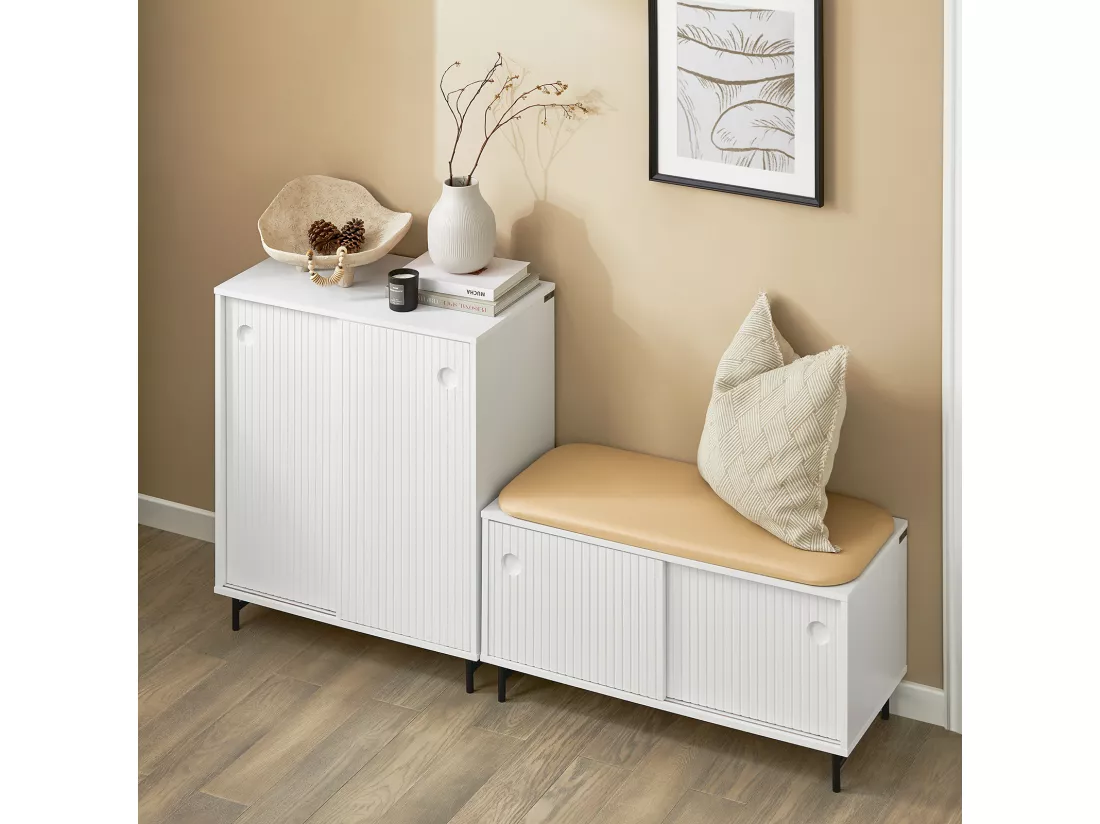 Banc à Chaussures, Banc de Rangement, Meuble Bas Entrée sur Pieds avec Coussin Rembourré, FSR116-W