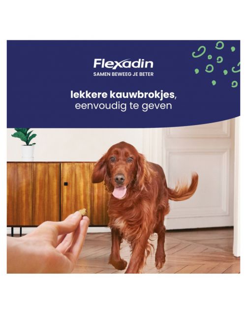 Flexadin Young Dog Maxi - Chews - Gewricht-Supplement - 60 stuks >10 Kg