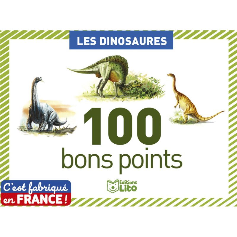Bon point éditions lito dinosaures texte pédagogique au verso 61x82mm boîte 100 unités