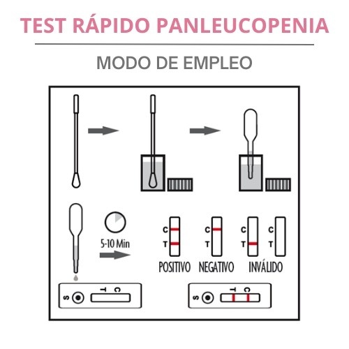 Teste rápido de panleucopenia para gatos da Lab4pets
