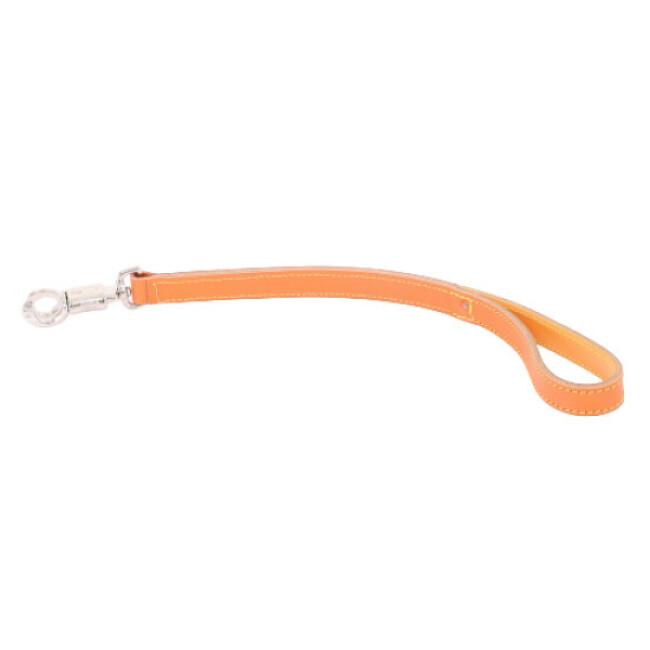 Laisse courte 50 cm en cuir pour chien