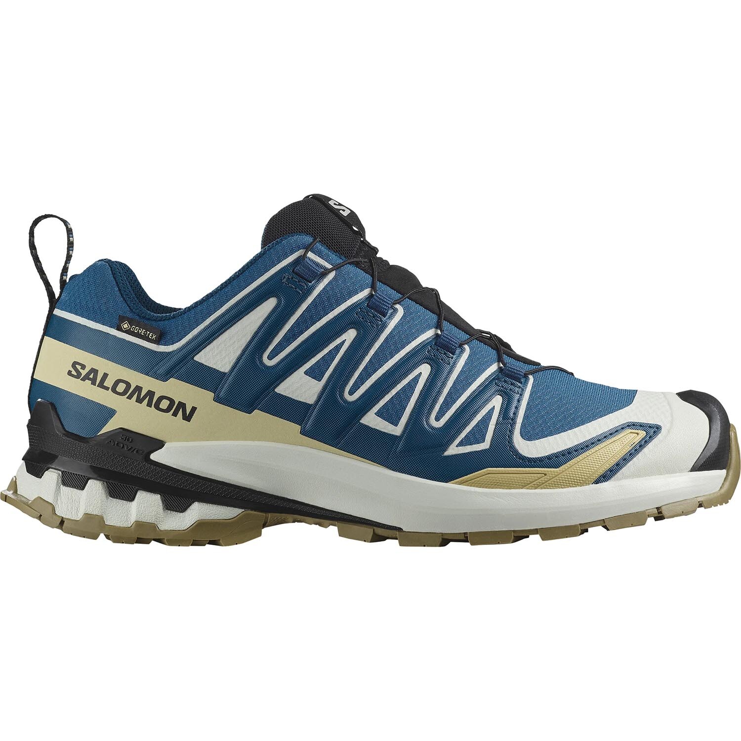 Salomon Mens XA Pro 3D V9 GTX