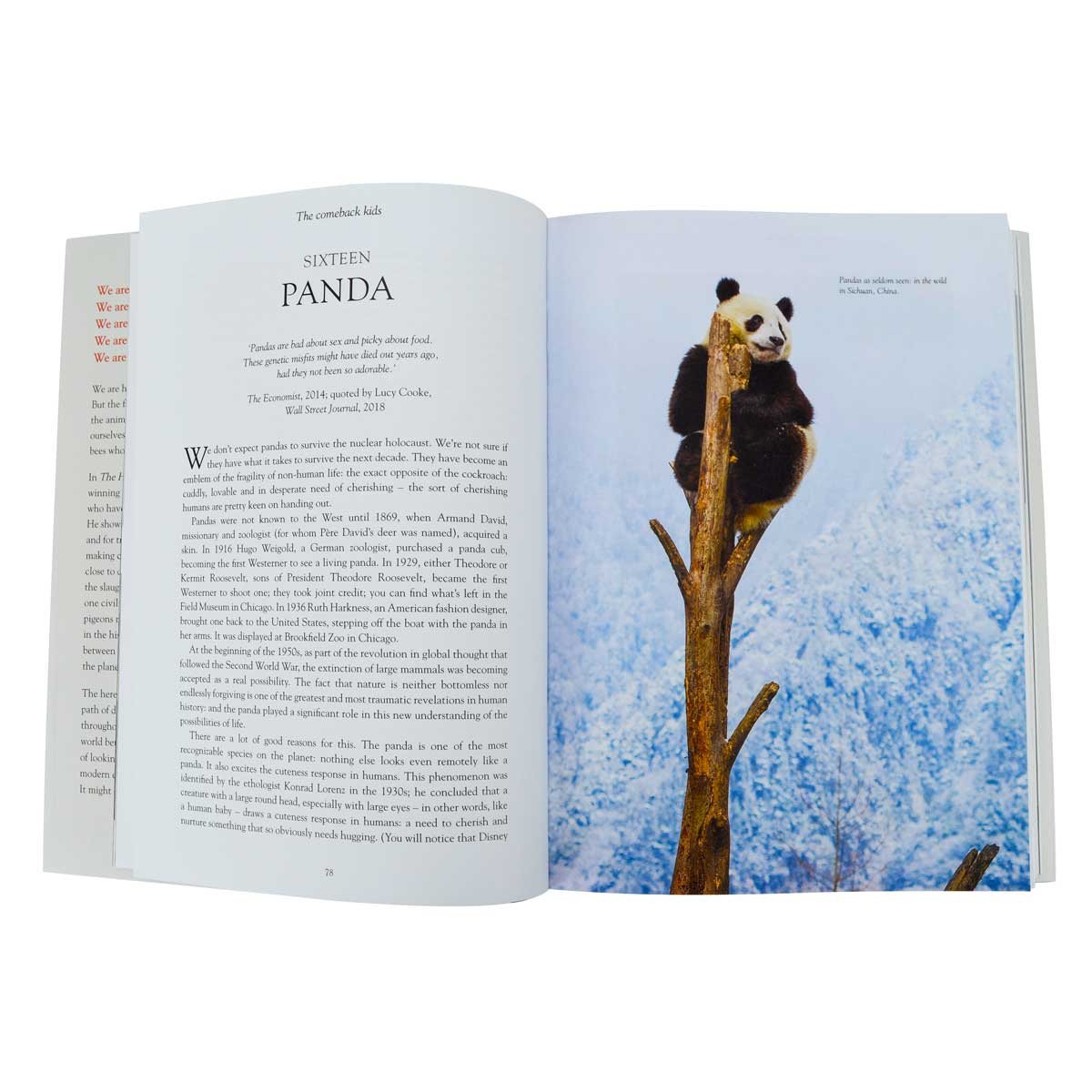 History of the World in 100 Animals (Hardback)