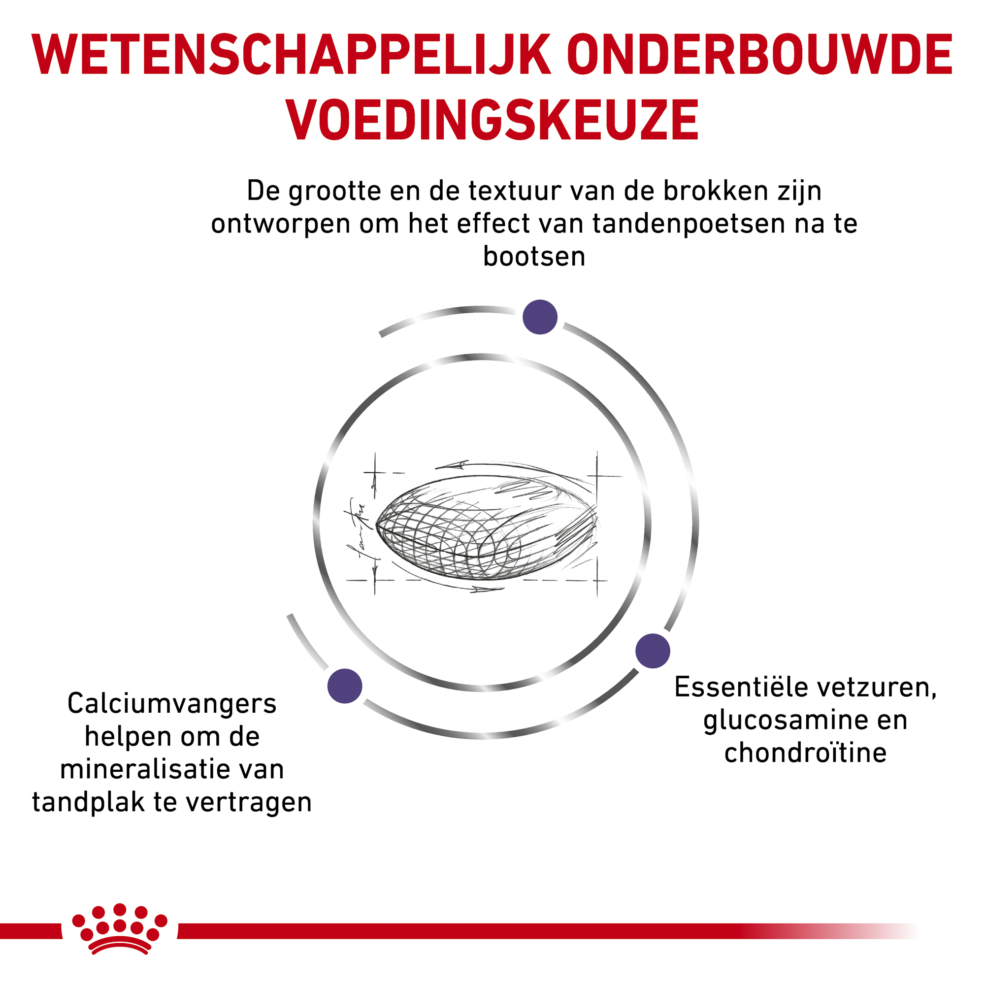 Royal Canin Dental Hond
