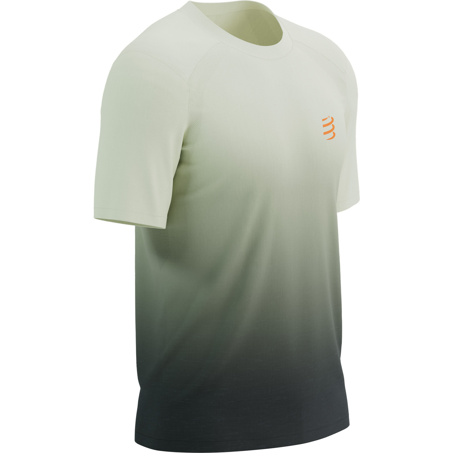 Compressport Performance T-Shirt Heren