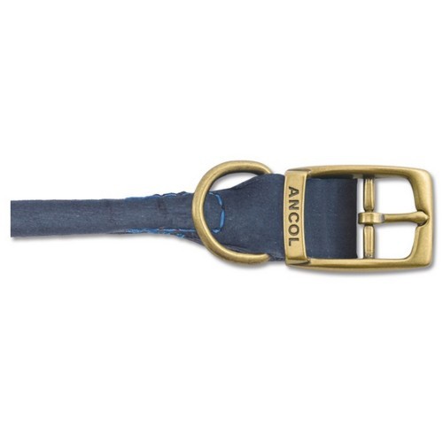 Coleira Timberwolf com design redondo, azul