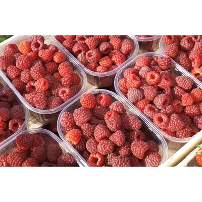 Himbeer-Fruchtaufstrich aus Südtirol