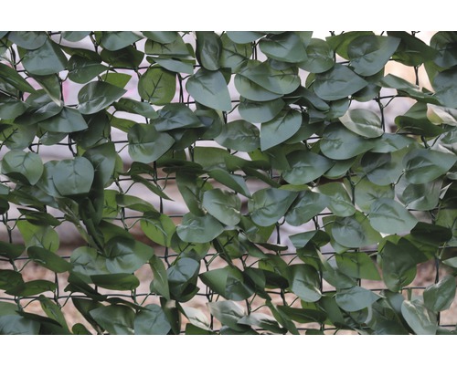 Privacyschermmat, klimoplook, 300 x 100 cm