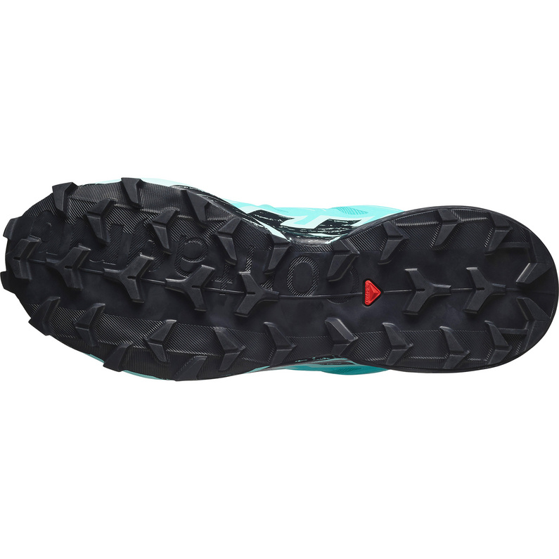 Salomon Damen Speedcross 6 GTX Schuhe