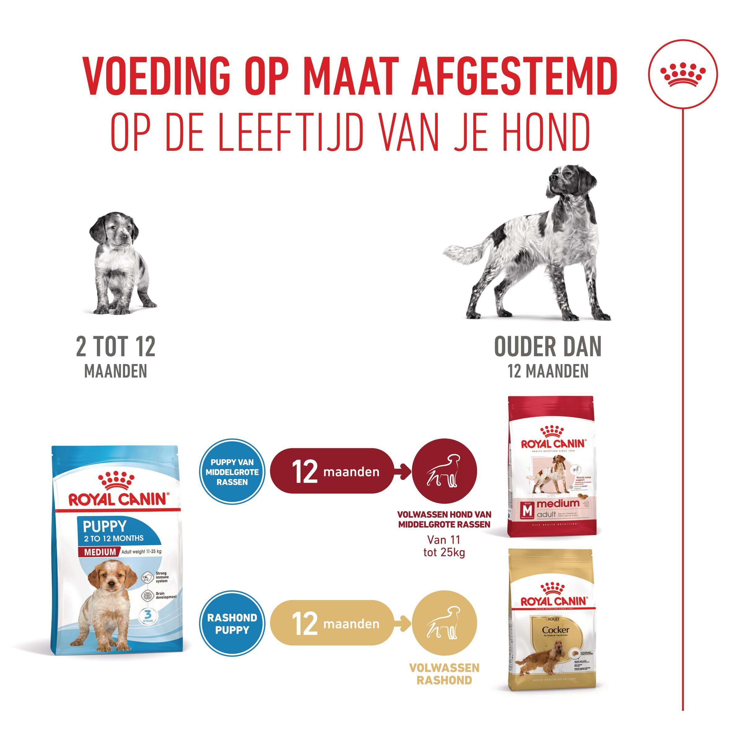 Royal Canin SHN Medium Puppy - Hondenvoer - 12 Kilogram - gevogelte