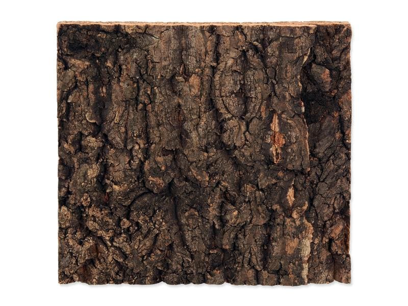 Repti Planet Kork-Rück Wand 19 x 17.3 x 2 cm Terrarienrückwand aus Kork