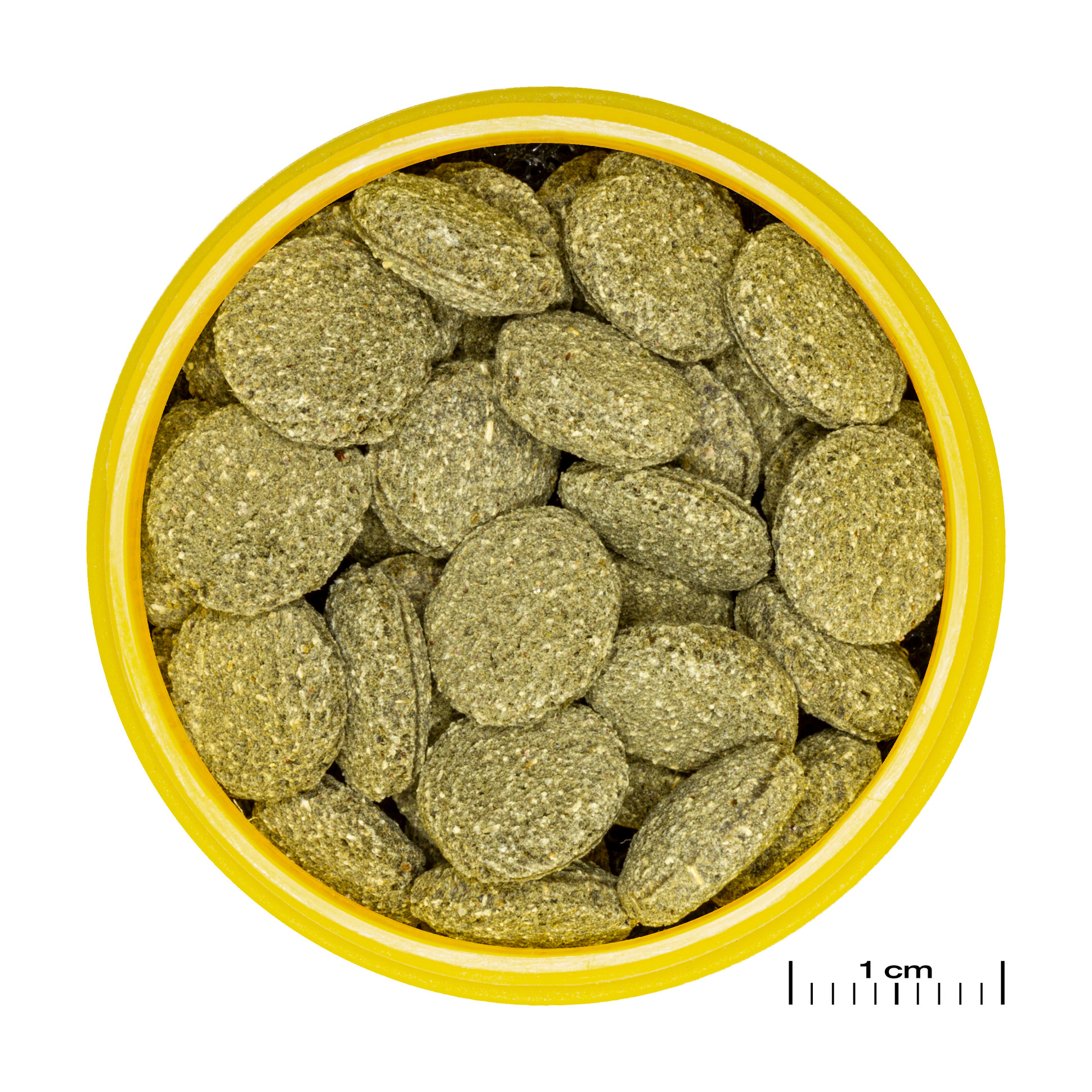 JBL Pronovo Pleco Wafer M 250ml | Zinkende voedertabletten