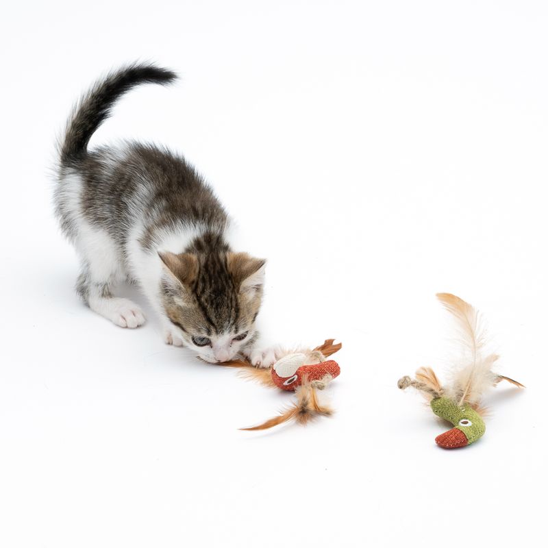 Lot de jouets TIAKI Toucans avec menthe à chat