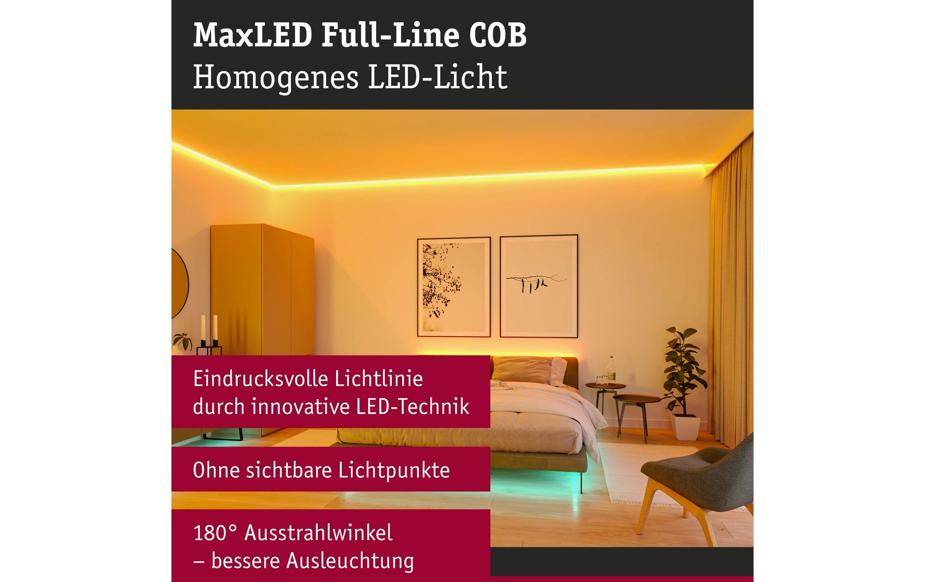 MaxLED1000 LED Strip Full-Line COB 2.5 mLight Stripes