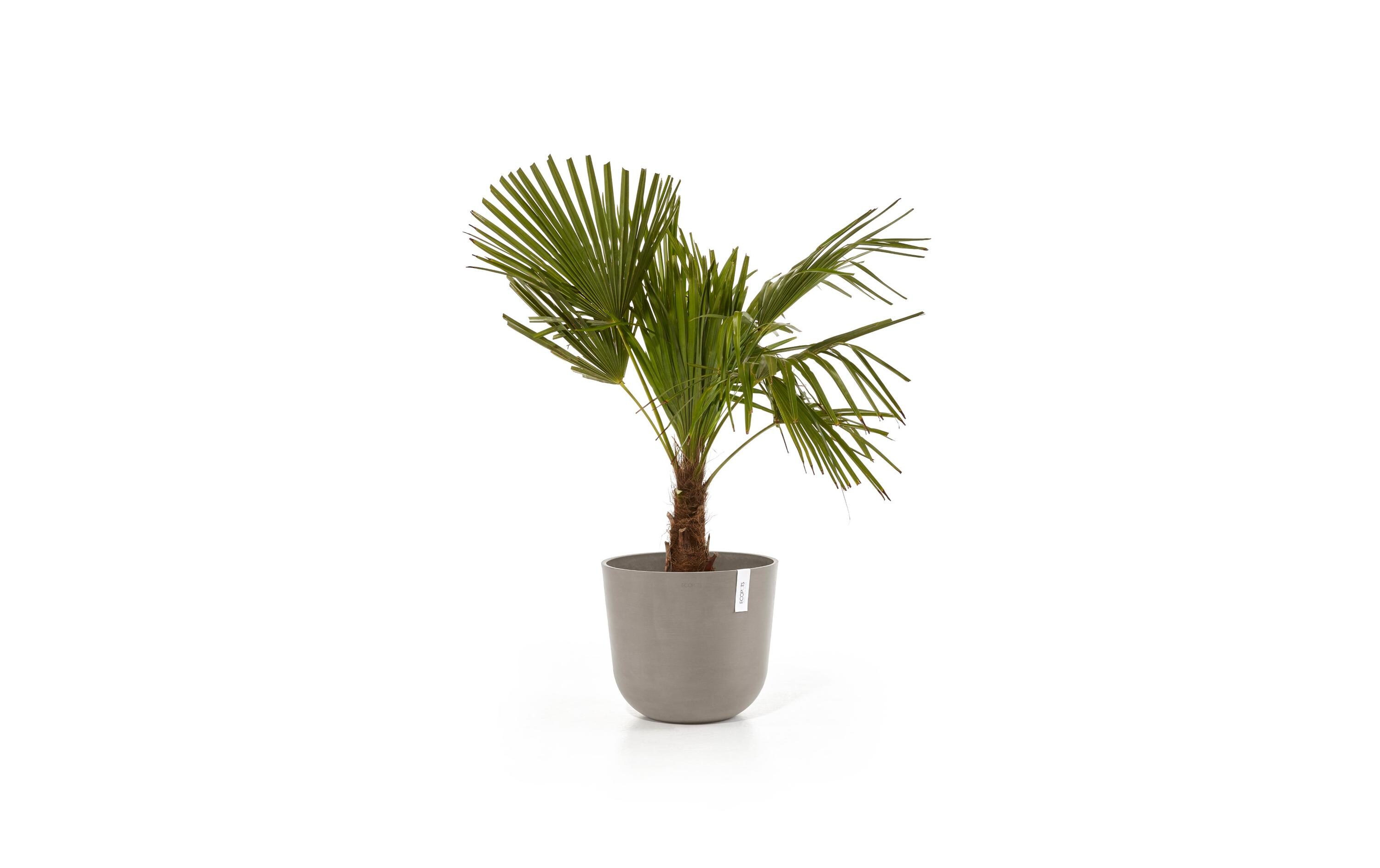 Pflanzentopf Oslo 35, French TaupeRobuster und langlebiger Blumentopf