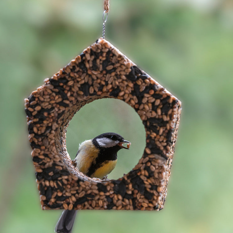 Vogelfutter Cabane à oiseaux