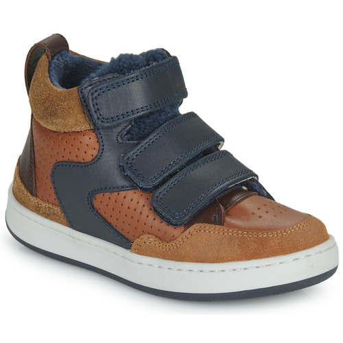 Shoo Pom - TEAMS JOG SCRATCH FUR - Marron / Bleu