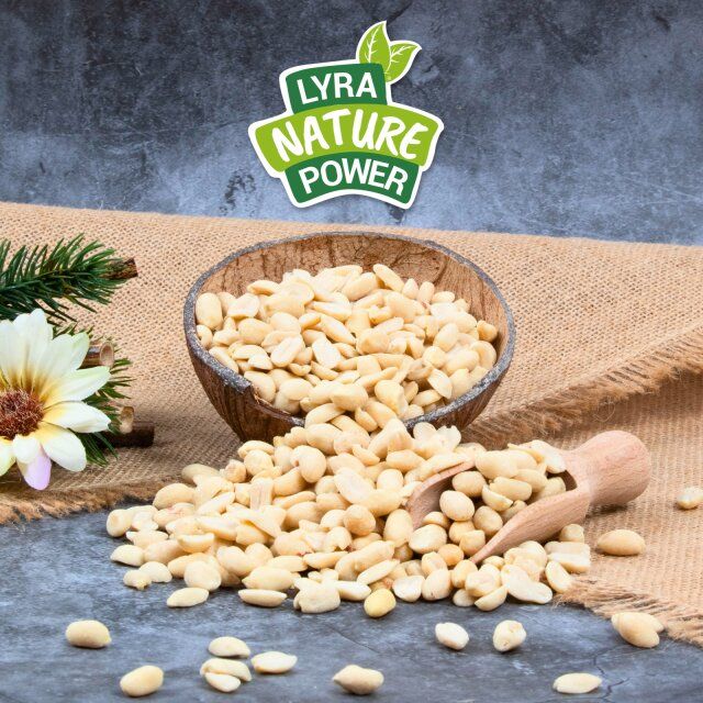 Lyra Pet® Erdnusskerne halbe blanchiert