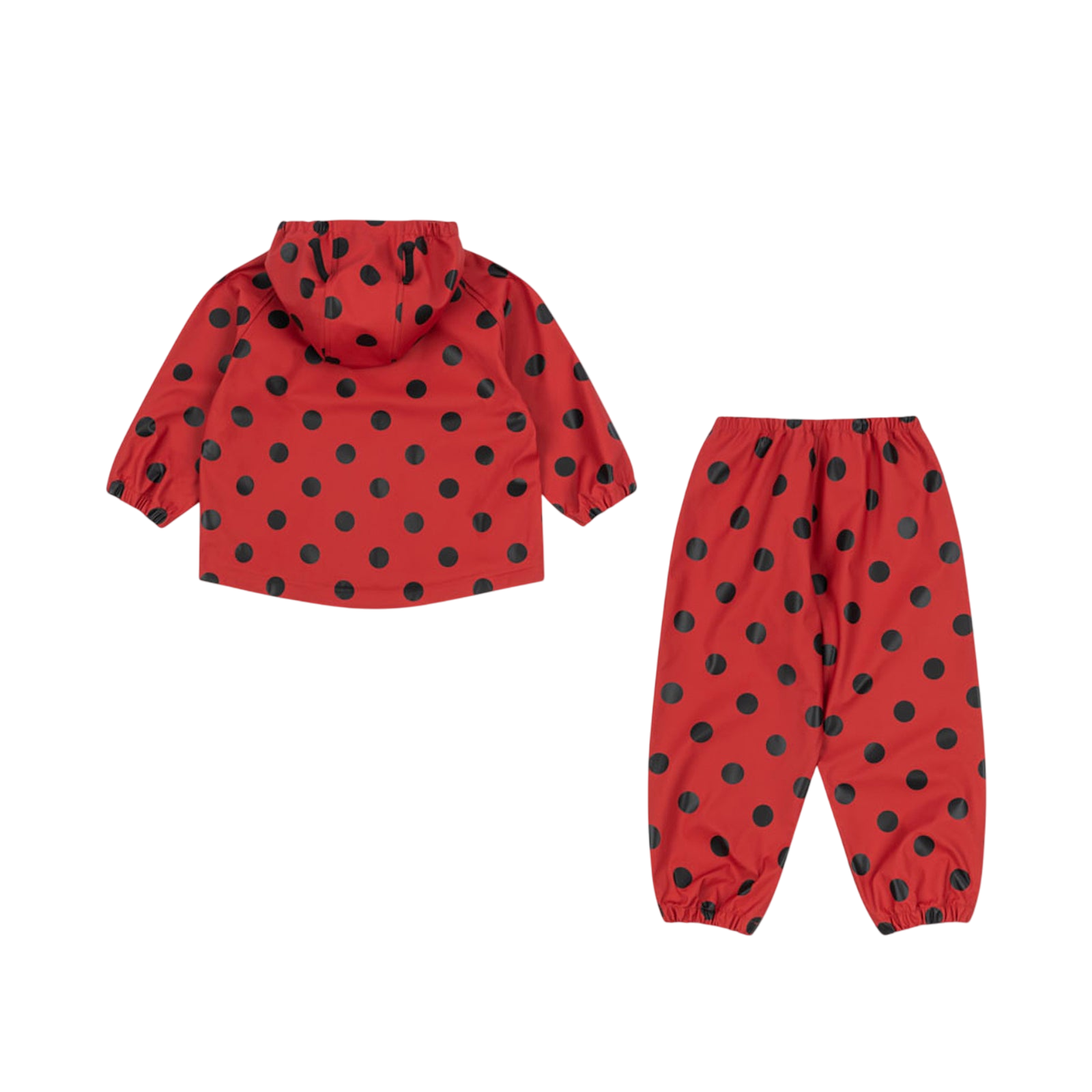 Regenset Cinelle Lady Dot