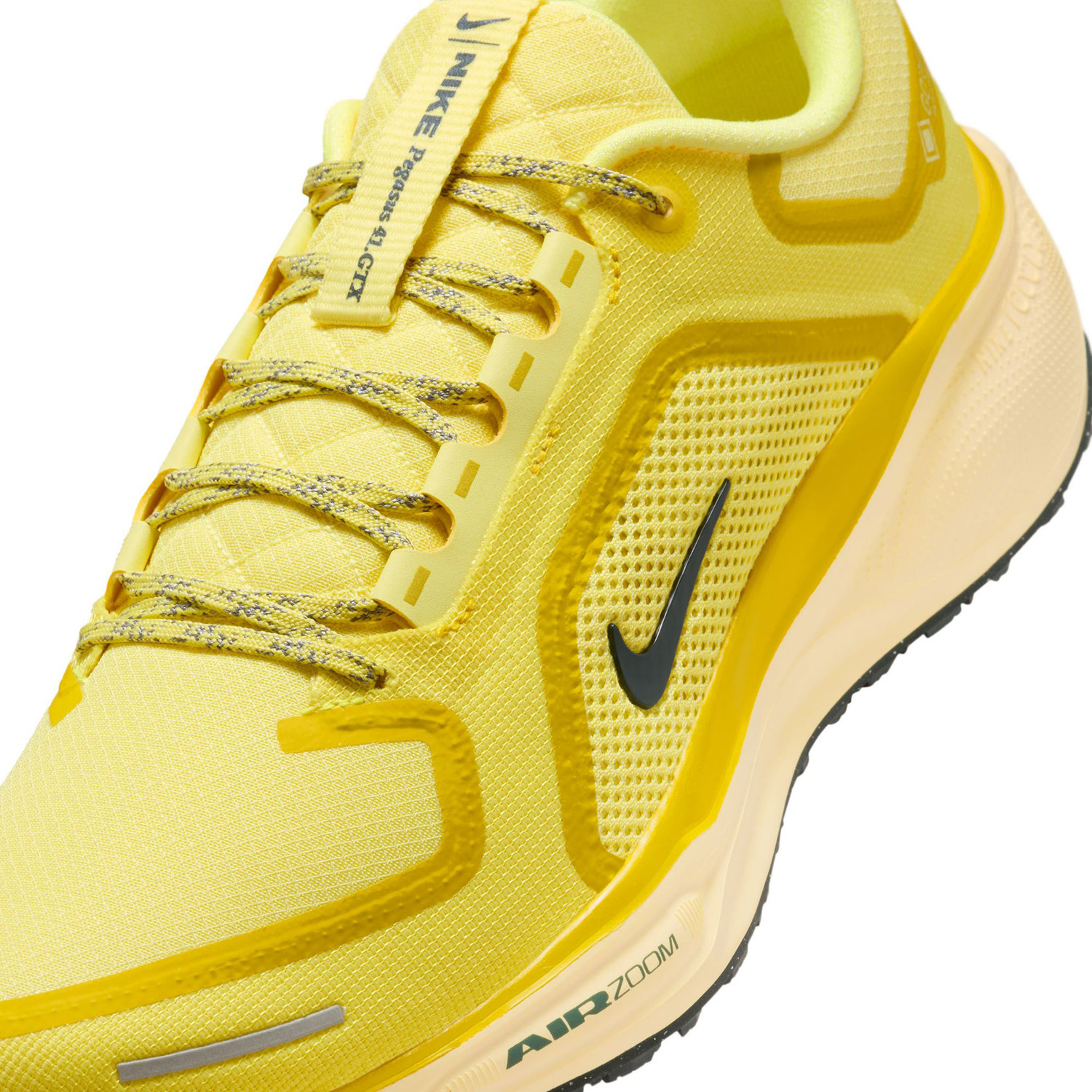 Nike Pegasus 41 GTX Heren