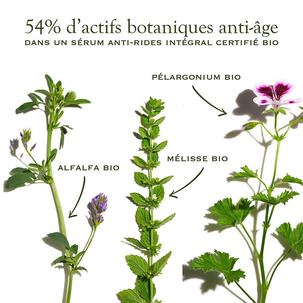 Sanoflore Absolu Merveilleux Bio-Integrales Anti-Falten Serum