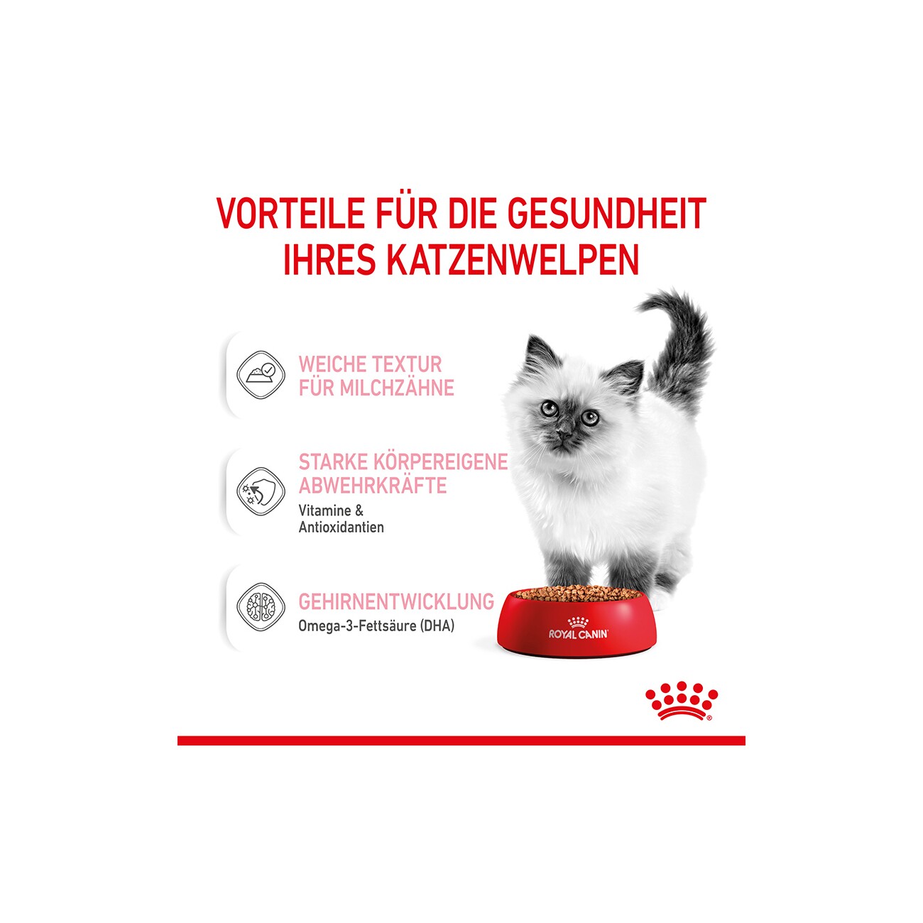ROYAL CANIN Kitten in Soße 12x85 g