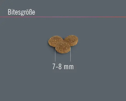 FINEVO Sensitive Cat Droogvoer Lam 0,4 kg