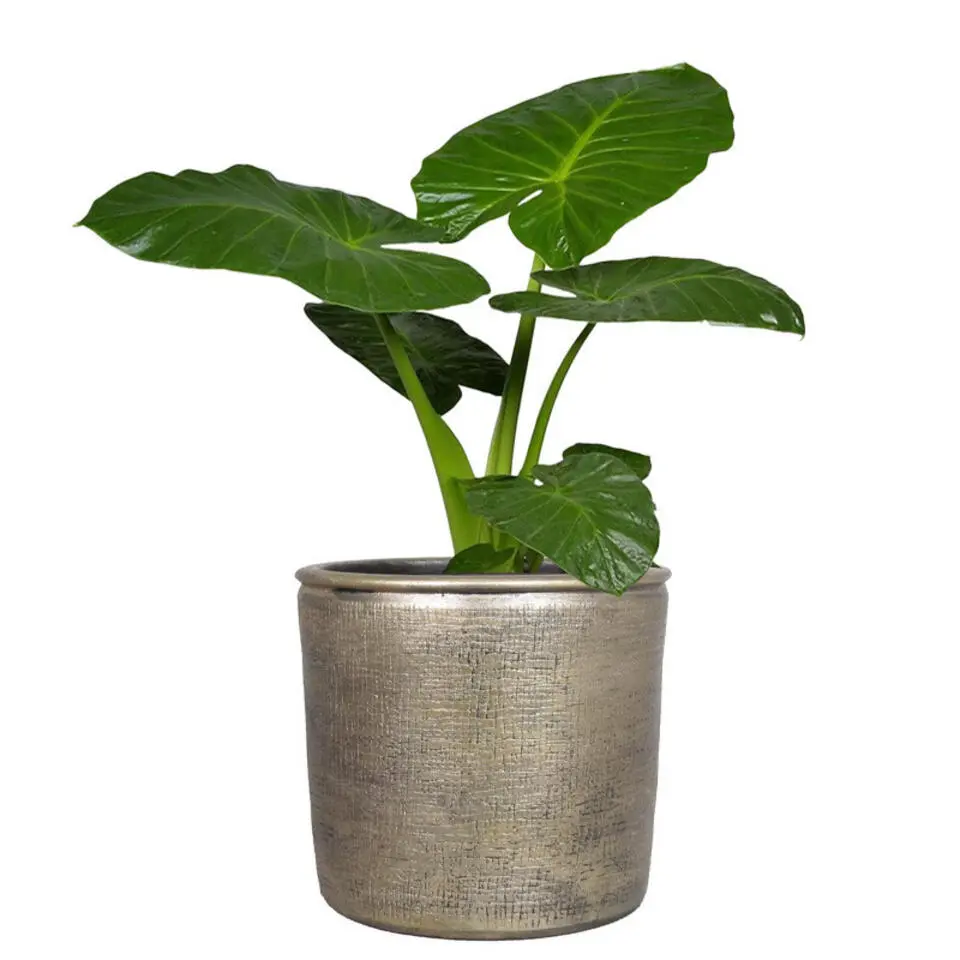 Floran Bloempot - industrieel - goud - keramiek met coating - 12 cm