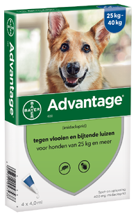 Advantage Hond 4ST