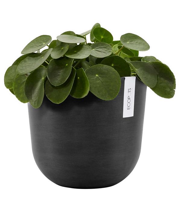Ecopots Kunststoff-Topf Oslo, rund