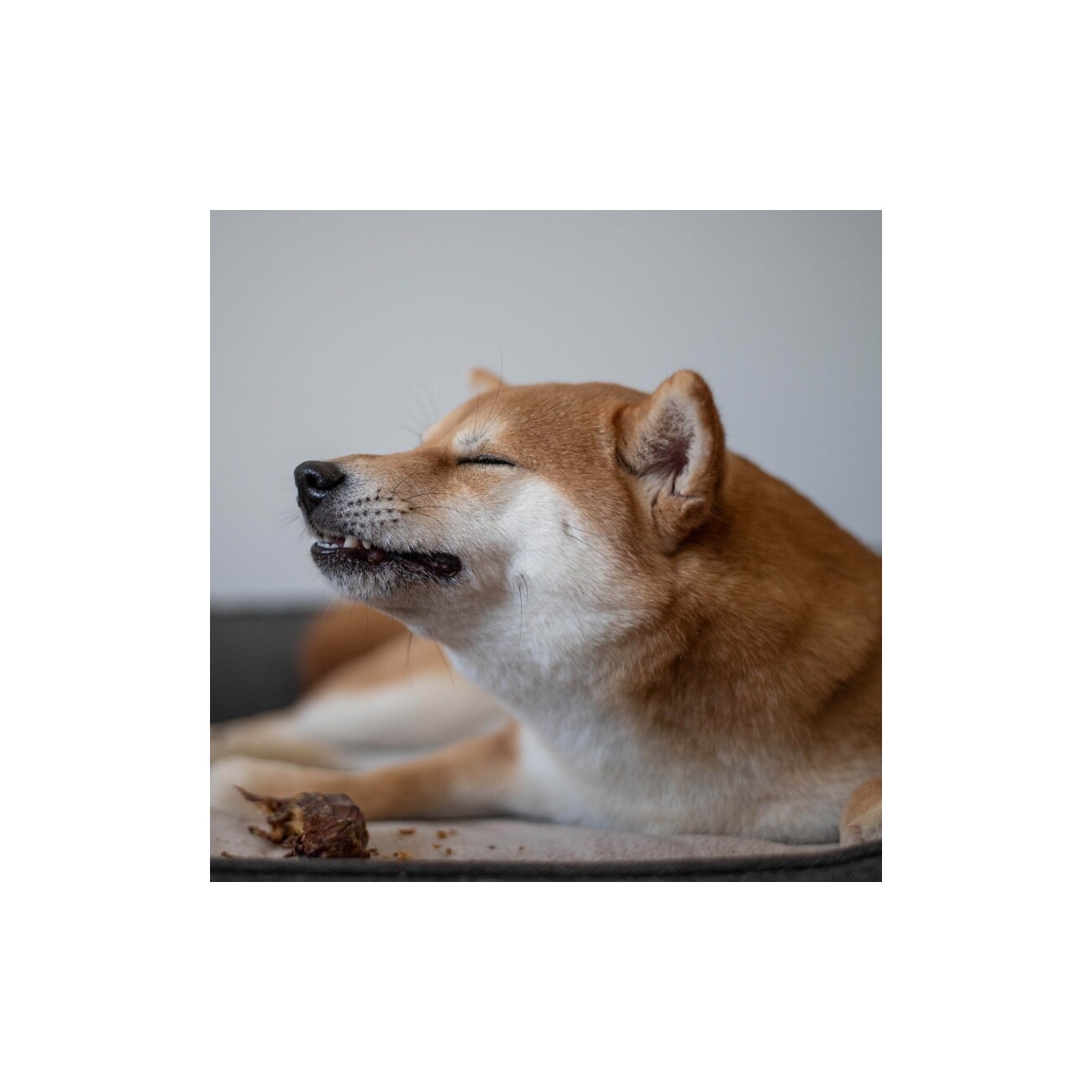 Bellfor Hundesnack - Enten-Hals - 250g