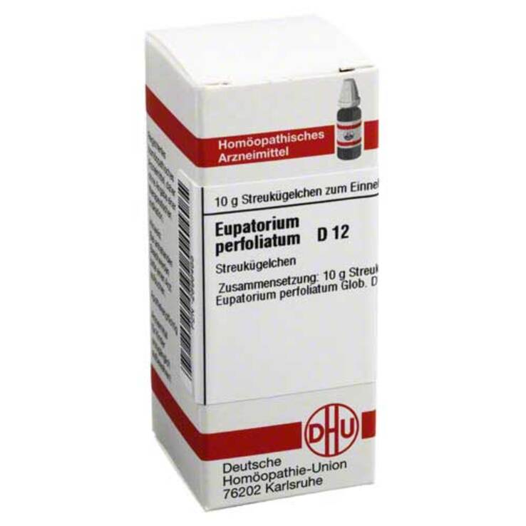 DHU Eupatorium perfoliatum D 12, 10 g