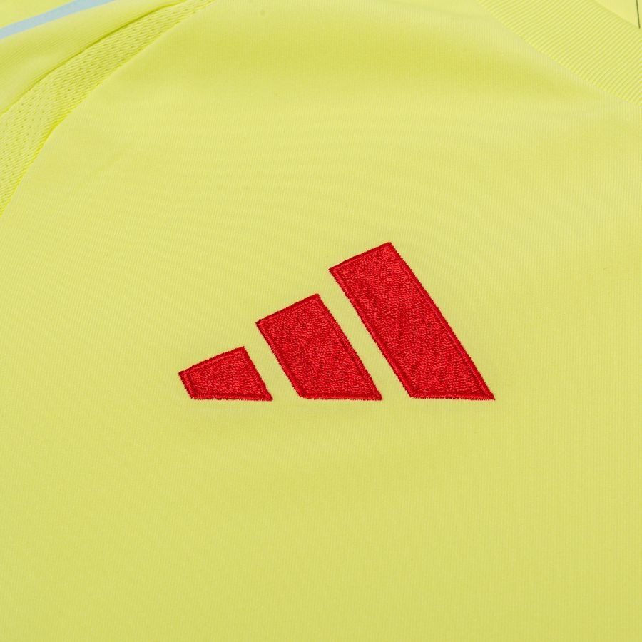 Espagne Maillot Extérieur 2024/25