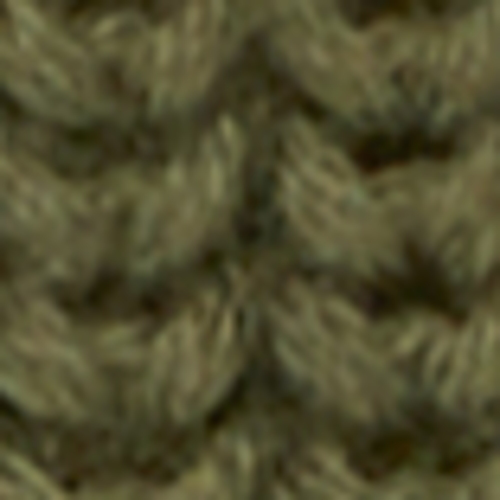 DfC Strickschal aus reiner Bio-Baumwolle