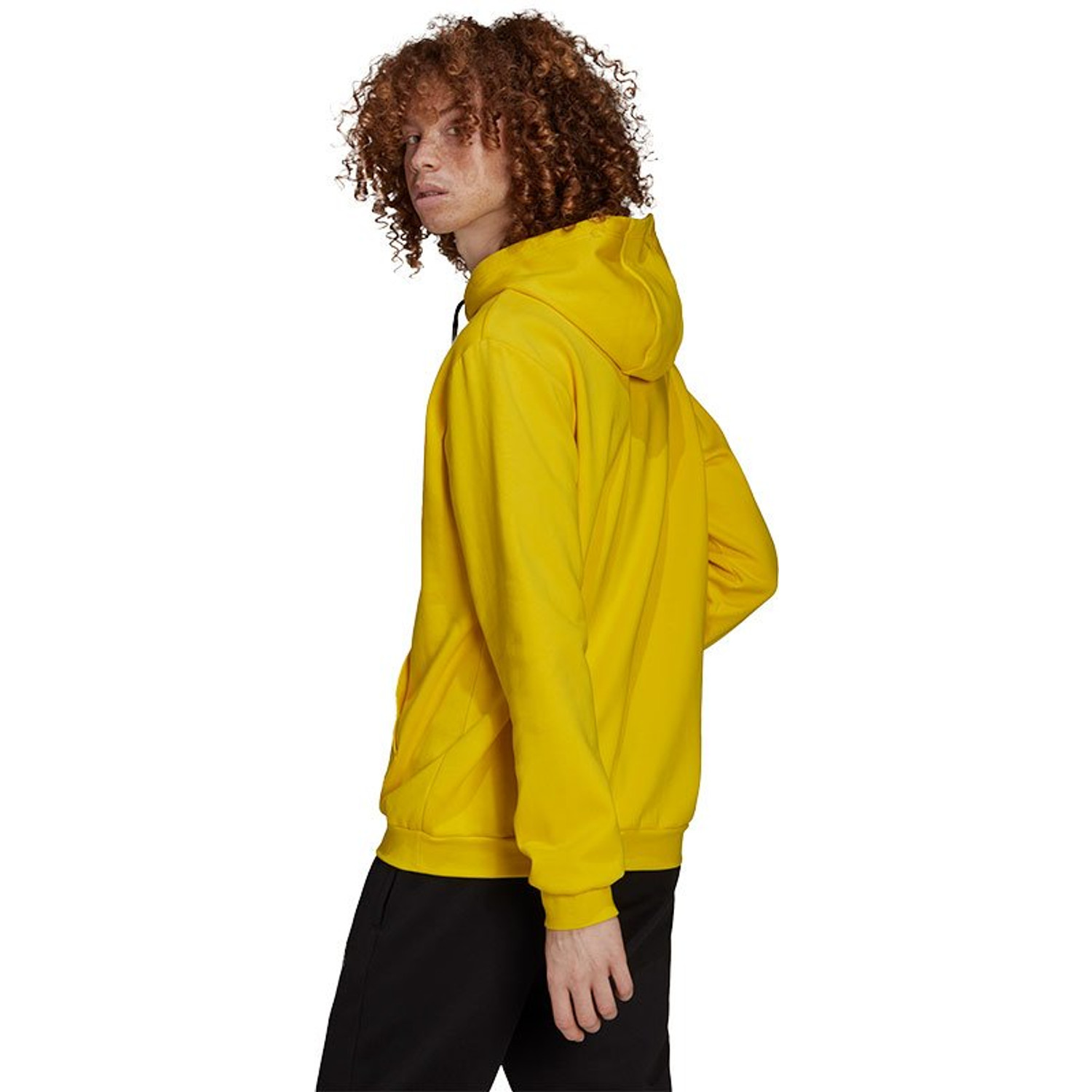 adidas Entrada 22 Hoody
