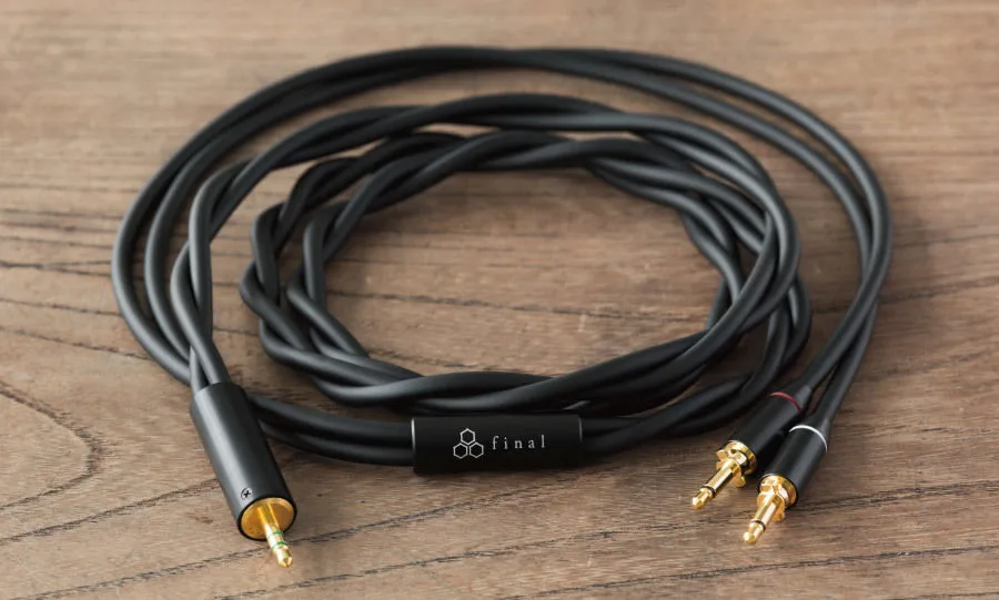 Final Audio D8000 Noir Casques hi-fi