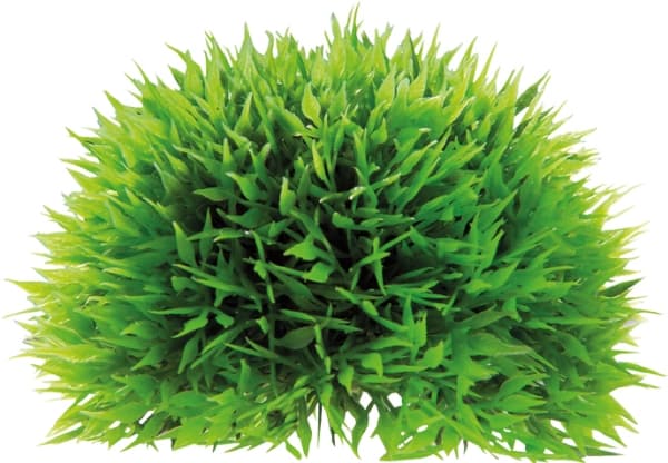 Dohse Plant Ball, 18 cm
