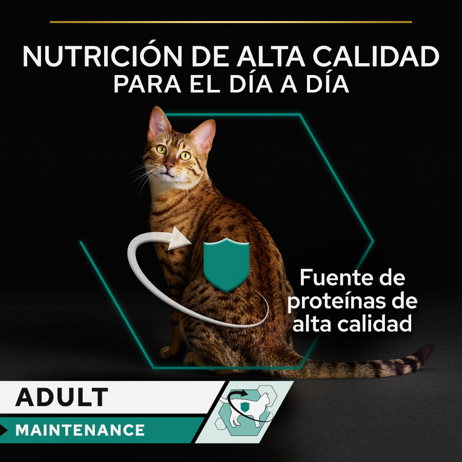Terrine Pro Plan Adult Maintenance rica em frango para gatos