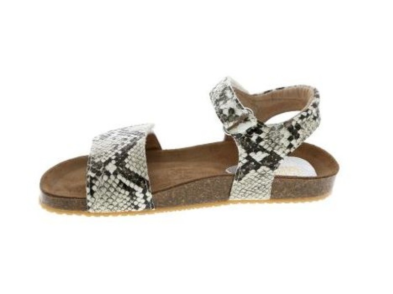 Clic! CL-Grass Beige combi