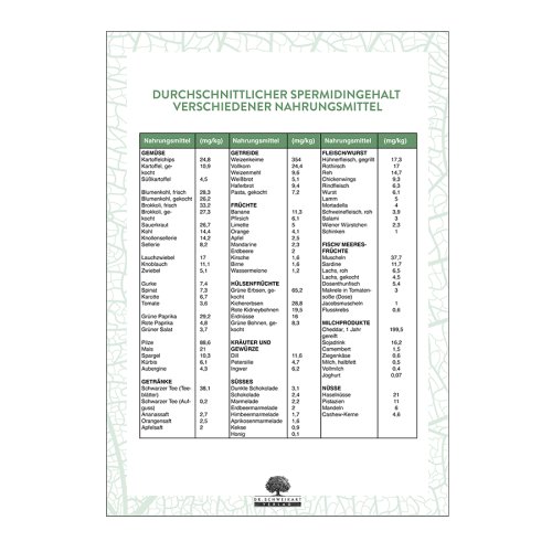Sunday Natural Products  SpermidinZellverjüngung durch Autophagiebooster