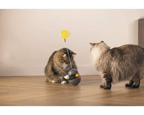 Beeztees Interactief Wibol Kattenspeelgoed, Intelligentiespeelgoed, Snackspeelgoed, Activiteitenspeelgoed