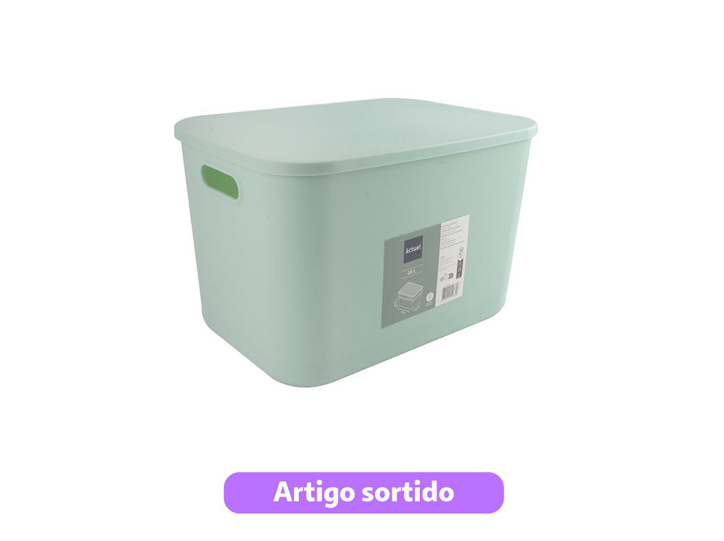 CAIXA ARRUMAÇÃO PLÁSTICO ACTUEL COR PASTEL 37X26X24CM CORES SORTIDAS