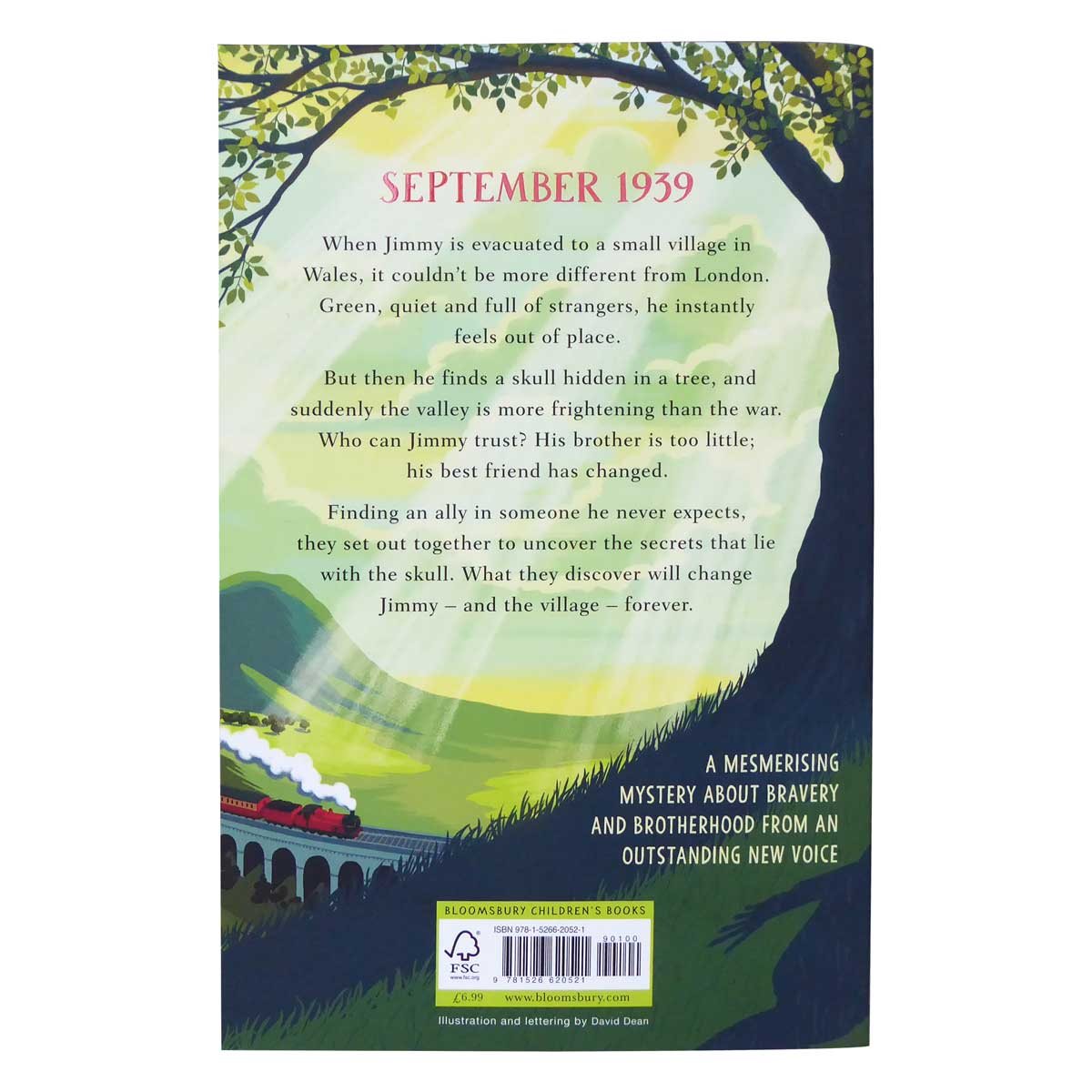 The Valley of Lost Secrets (Paperback)