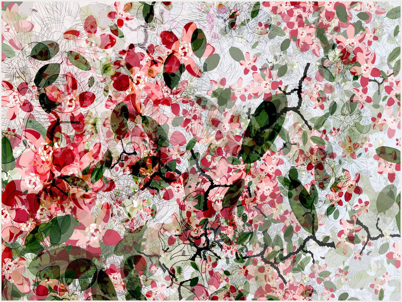 Cherry Blossom by Christine Jaschek - Limited Edition. Edition of: 150. Signed.